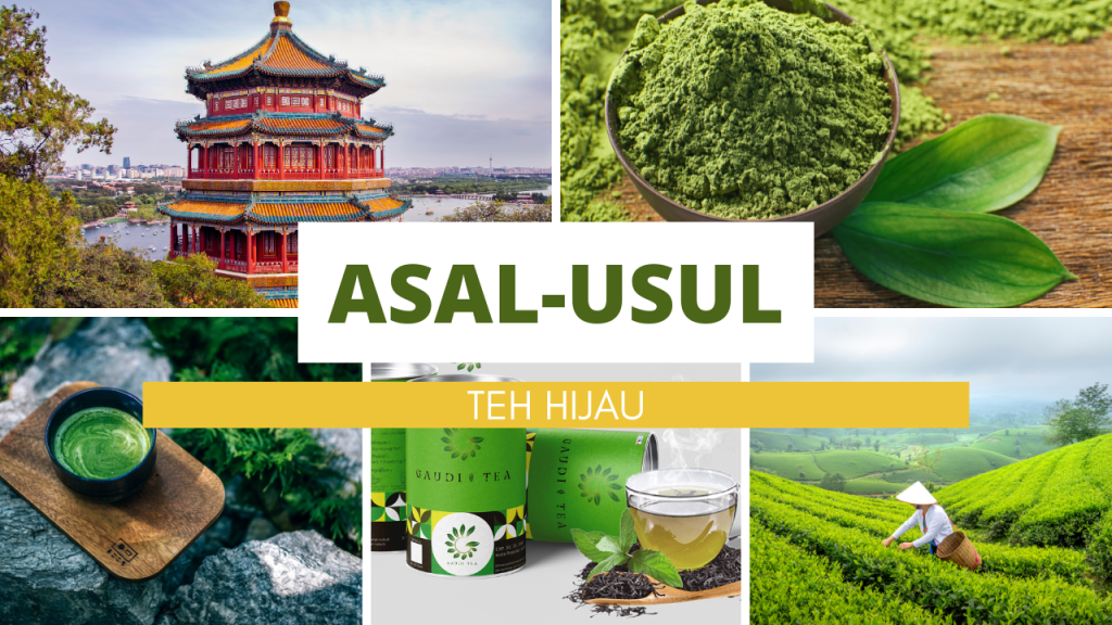 asal usul teh hijau dari cina kuno