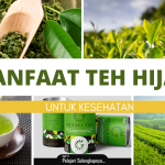 Manfaat Teh Hijau untuk Kesehatan