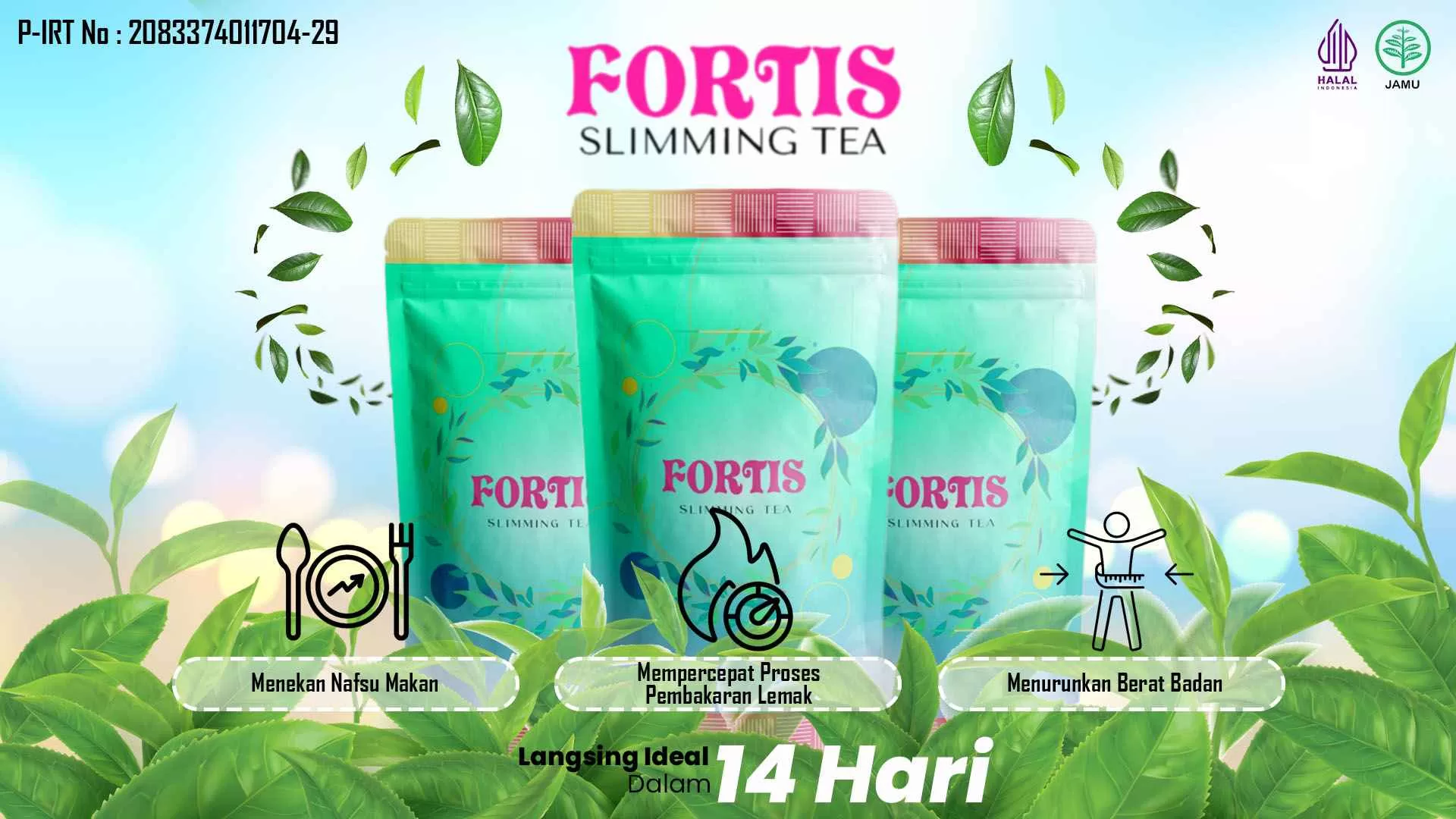 Foto Fortis Tea 1 11zon